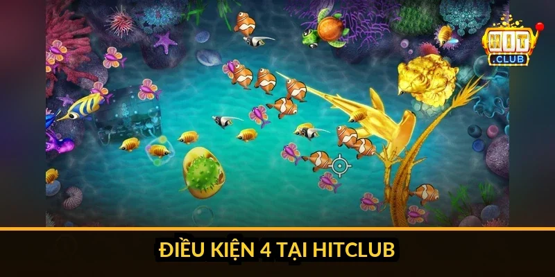 Nên Chơi Sảnh Bình Dân Hay Đại Gia Khi Bắn Cá Tại Hitclub? Checklist 4 điều kiện trước khi chuyển lên sảnh cao Hitclub